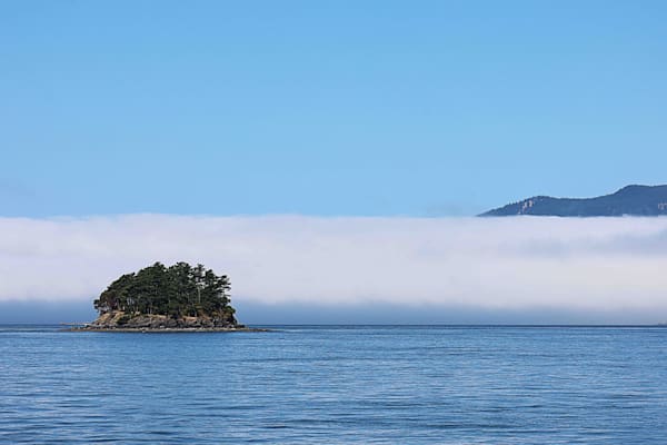 Island in the Sun