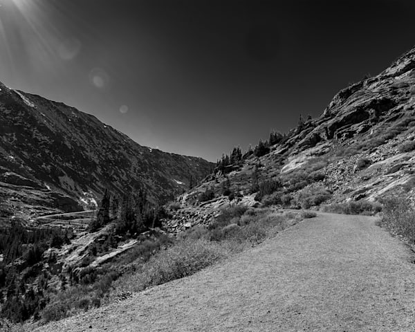 The Road Not Taken