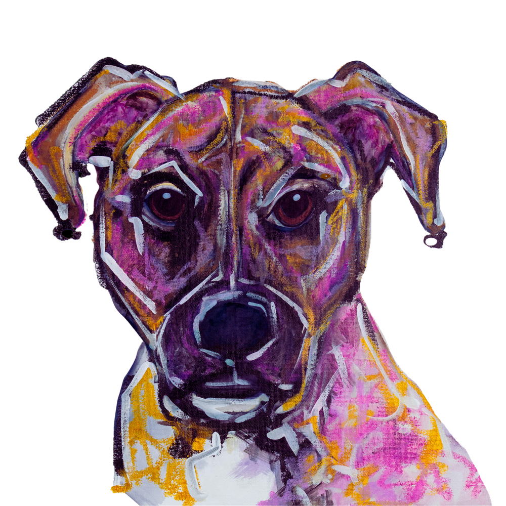 Art Dogs by JJ Fine Art Prints: The Mountain Cur