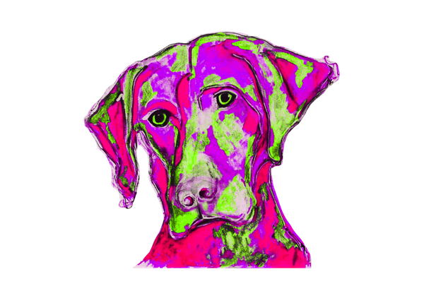 Labrador Notecards | Original Designs by Jacqueline Jasionowski