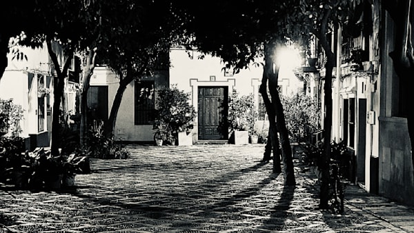 Night lights