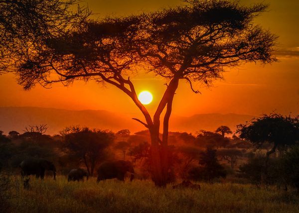 Sunrise & Sunsets