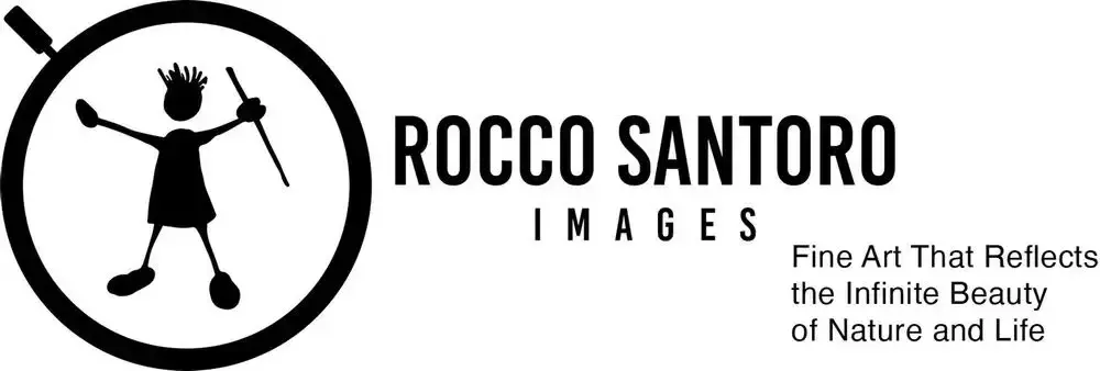 ROCCO SANTORO GALLERIES