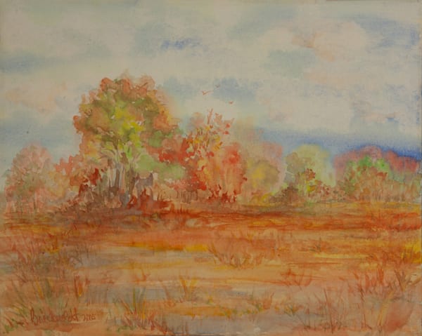 Autumn In Chicago Art | J B Breckwoldt - Fine Art