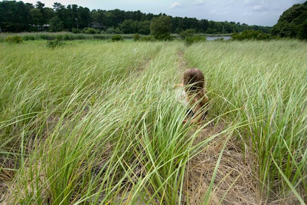 Ell Grass   Ltd Ed Photo Art | Angeline May Art