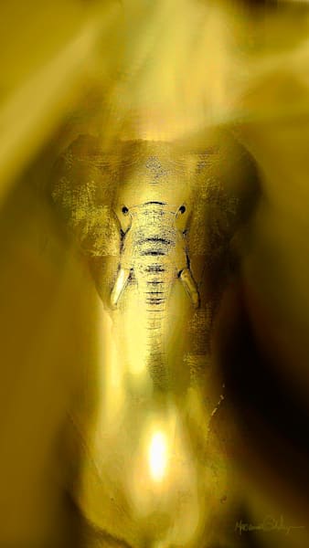 Spirit animals Art | SoulChi Art