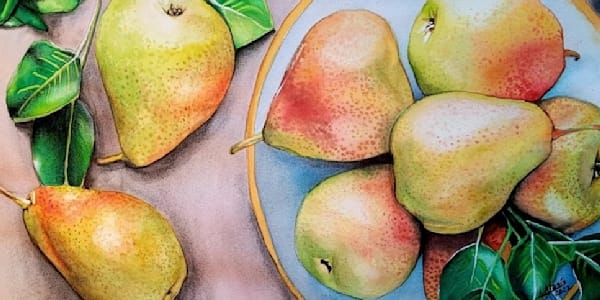 Watercolors /Acuarelas