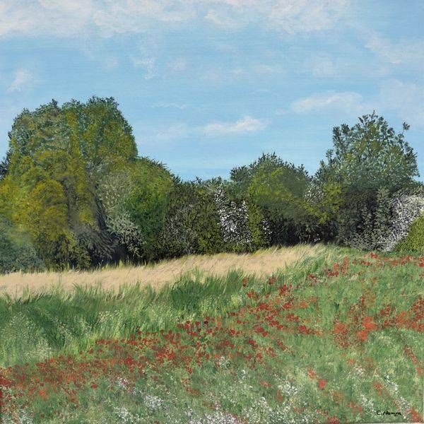  Whispers of a Summer Meadow Fine Art Prints & Decor | C. Hamza