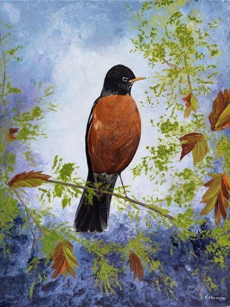 American Robin A Hymn in Feathers Original Painting | C. Hamza