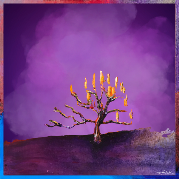 Burning Bush Series