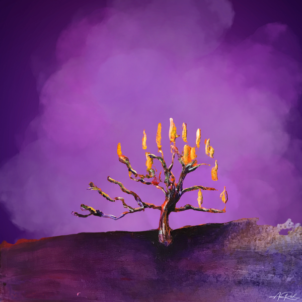 Burning Bush 5 - Digital Art Print - Anne Reid Artist - Canada 
