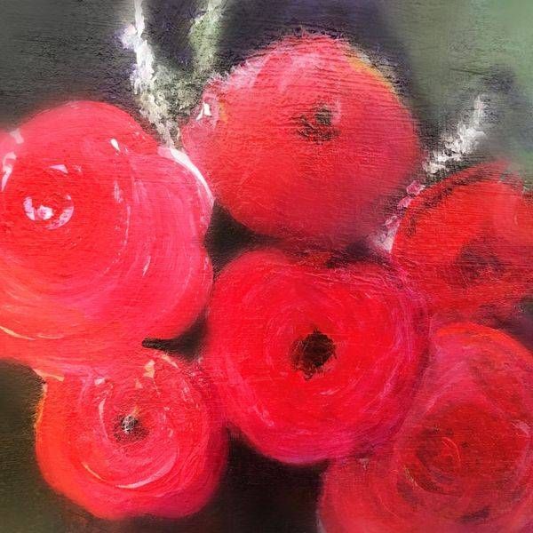 Roses, Print Art | Anne Reid Artist