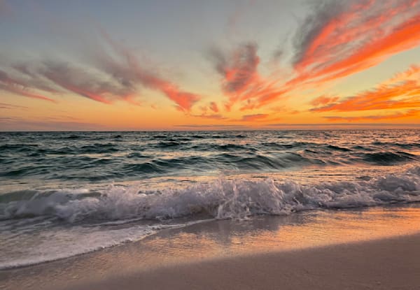 Cotton Candy Peace Photography Art | pamelamoore
