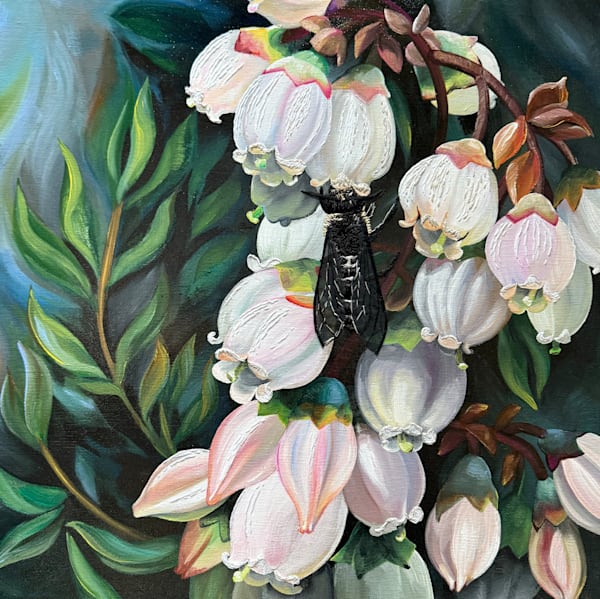 Paintings