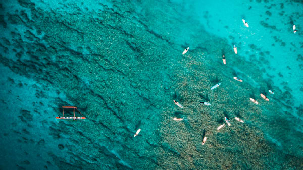 Flat Days In Waikiki Beach Photography Art | dannytorobekovart