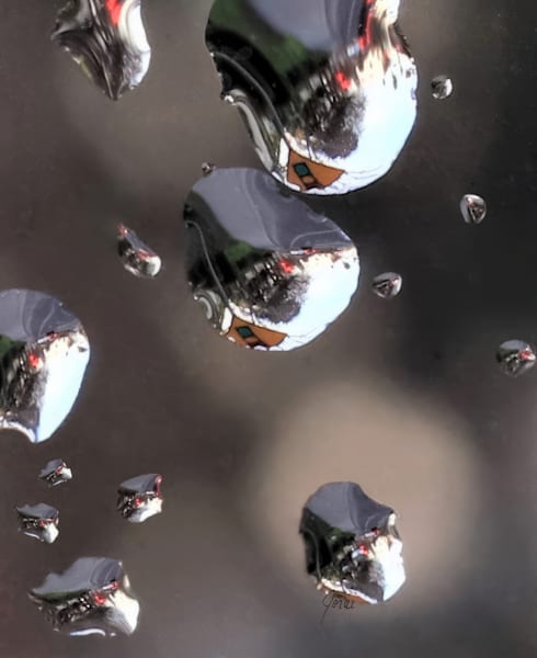 Rain Drop Keep Fallin' On My Head Art | Let The Lights Shine Photography by Sharon Jorai