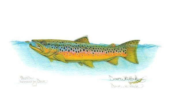 Limited Edition, Fine Art Giclee Prints by Dave Whitlock