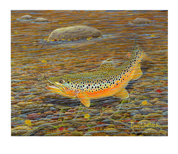 Fine Art Giclee Prints created at Emily Whitlock Studios
