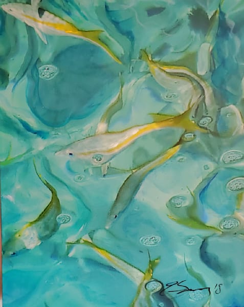 Yellow Tail