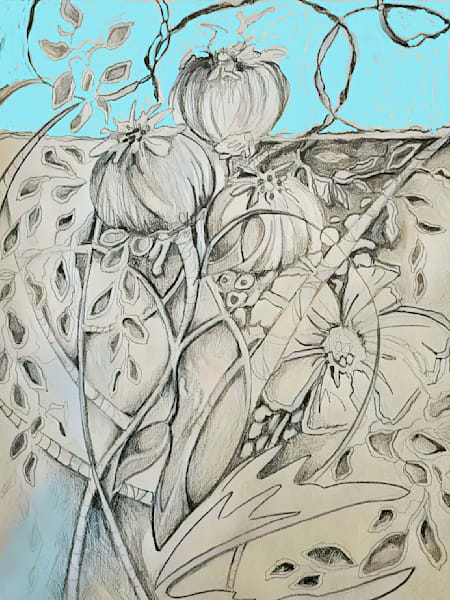 Pod Flowers